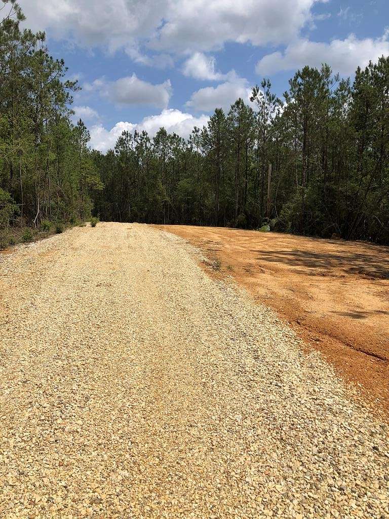 10.1 Acres of Recreational Land for Sale in Carriere, Mississippi