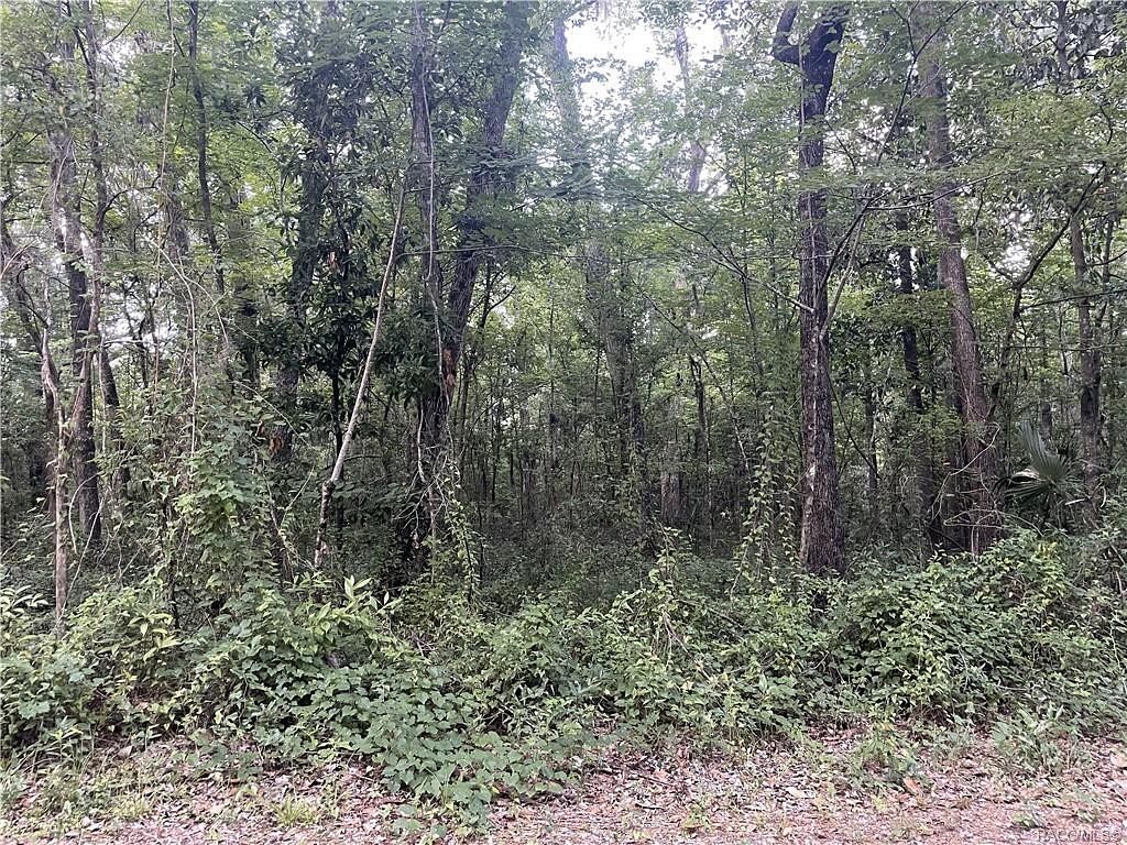 4.3 Acres of Land for Sale in Belleview, Florida