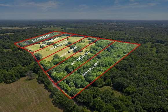 16.1 Acres of Land for Sale in Mount Pleasant, Texas