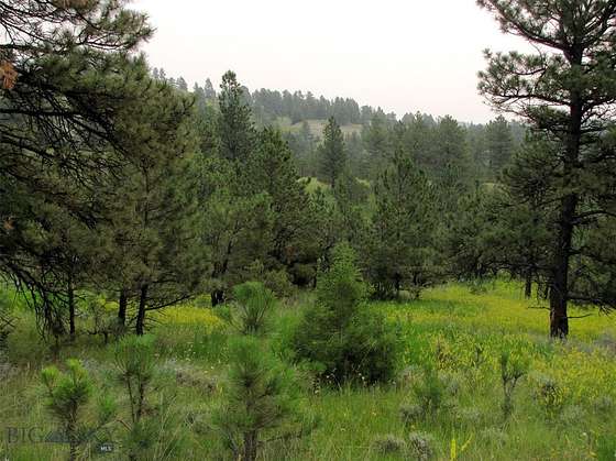 35.3 Acres of Recreational Land for Sale in Recluse, Wyoming