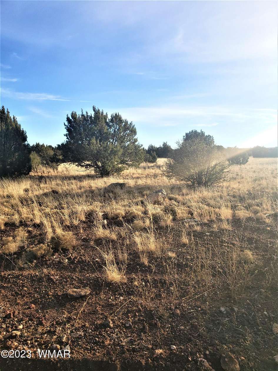 1.36 Acres of Residential Land for Sale in Show Low, Arizona