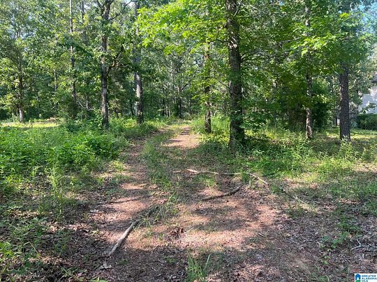 10 Acres of Residential Land for Sale in Pell City, Alabama