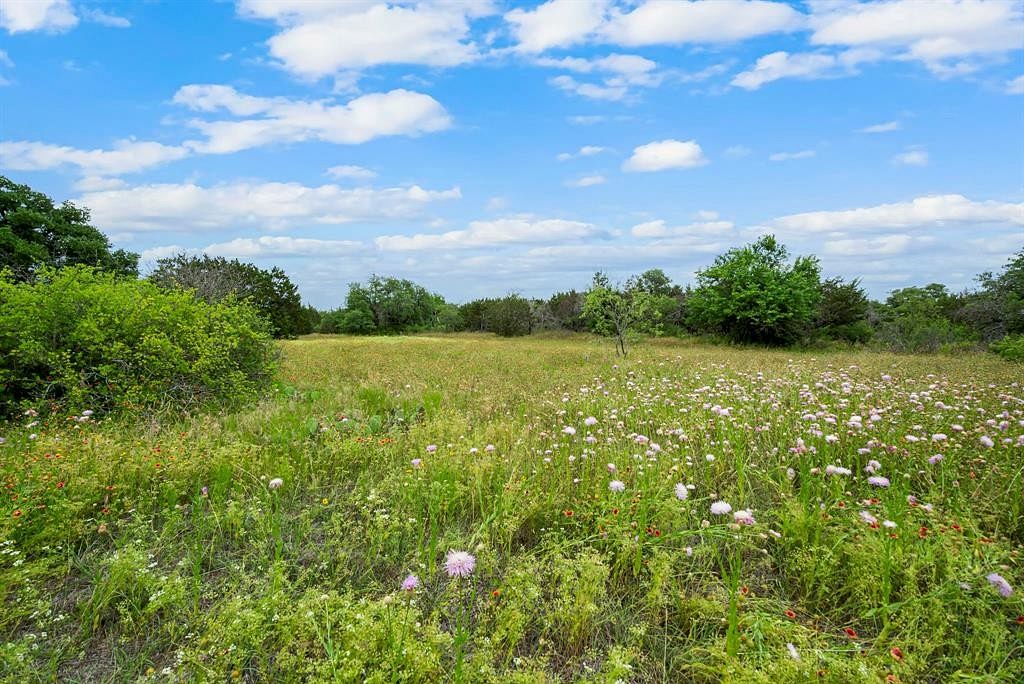 145 Acres of Recreational Land & Farm for Sale in Weatherford, Texas