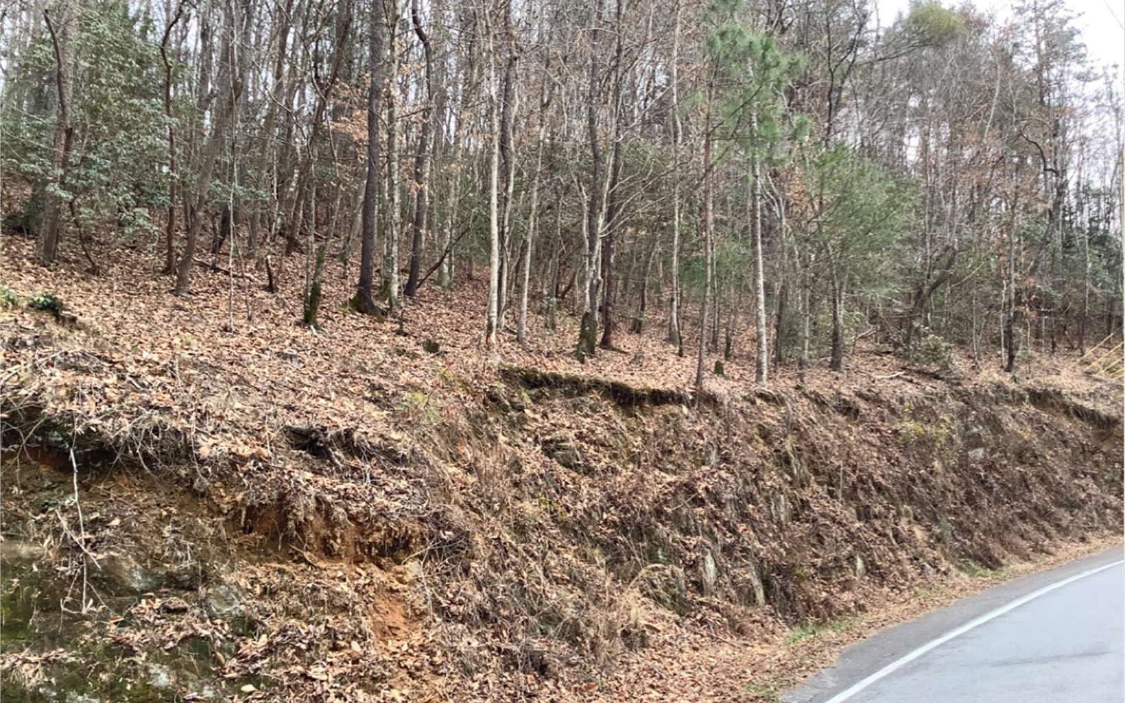 0.5 Acres of Land for Sale in Ellijay, Georgia