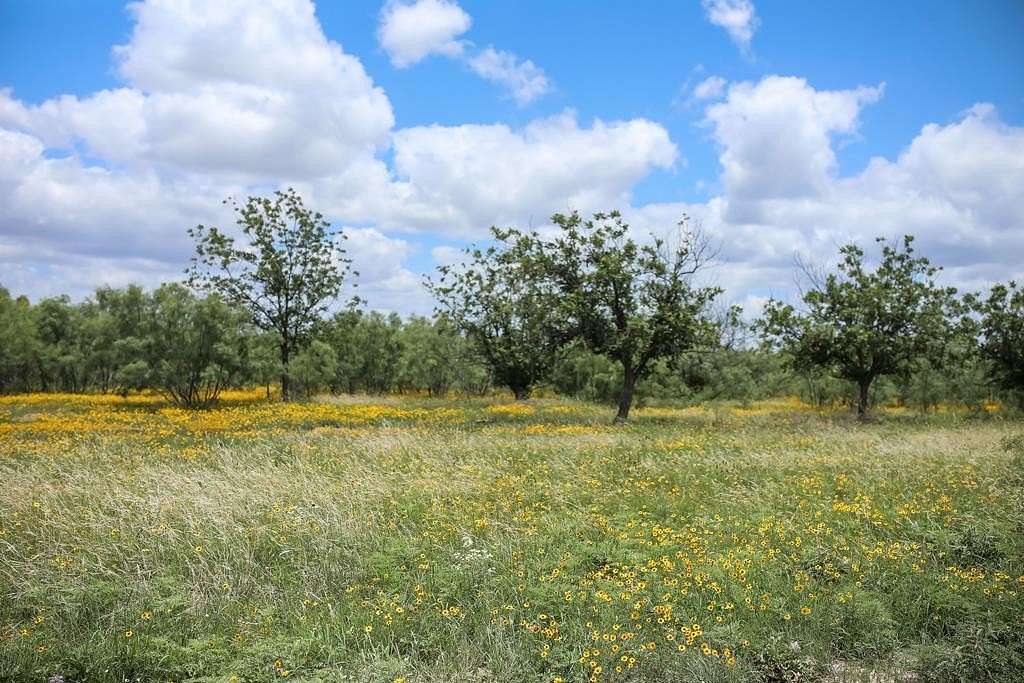 7.733 Acres of Land for Sale in San Angelo, Texas