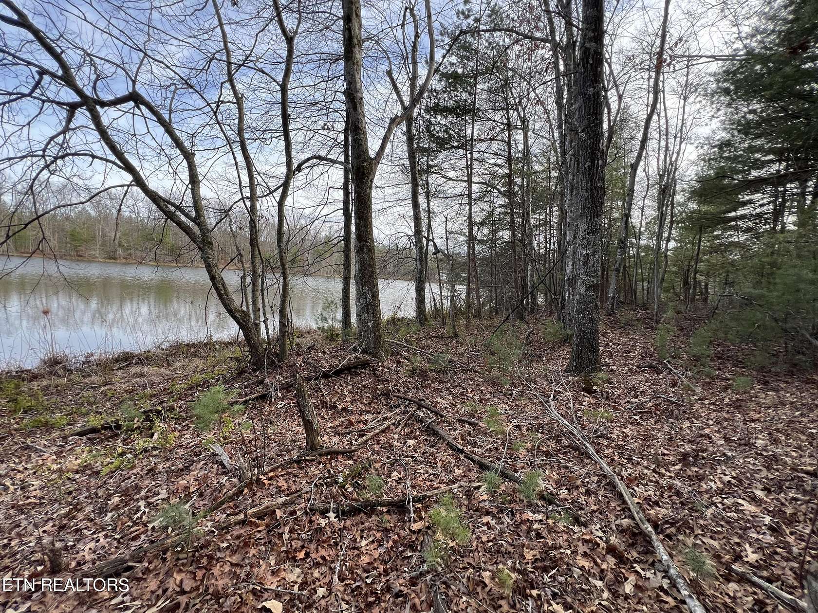 6.93 Acres of Land for Sale in Deer Lodge, Tennessee