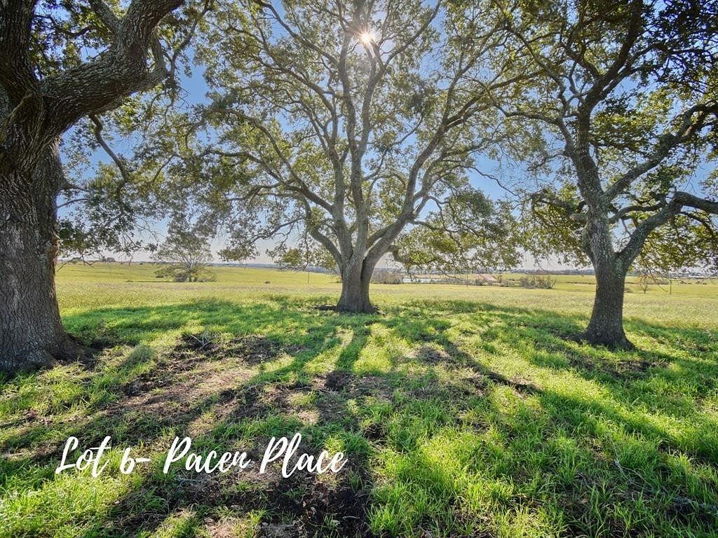 18.4 Acres of Agricultural Land for Sale in Chappell Hill, Texas