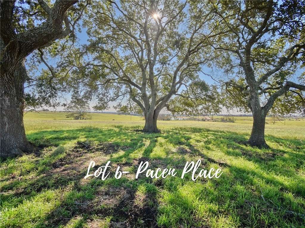18.4 Acres of Land for Sale in Chappell Hill, Texas