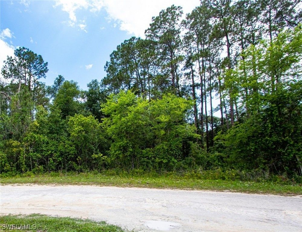 0.78 Acres of Residential Land for Sale in Webster, Florida