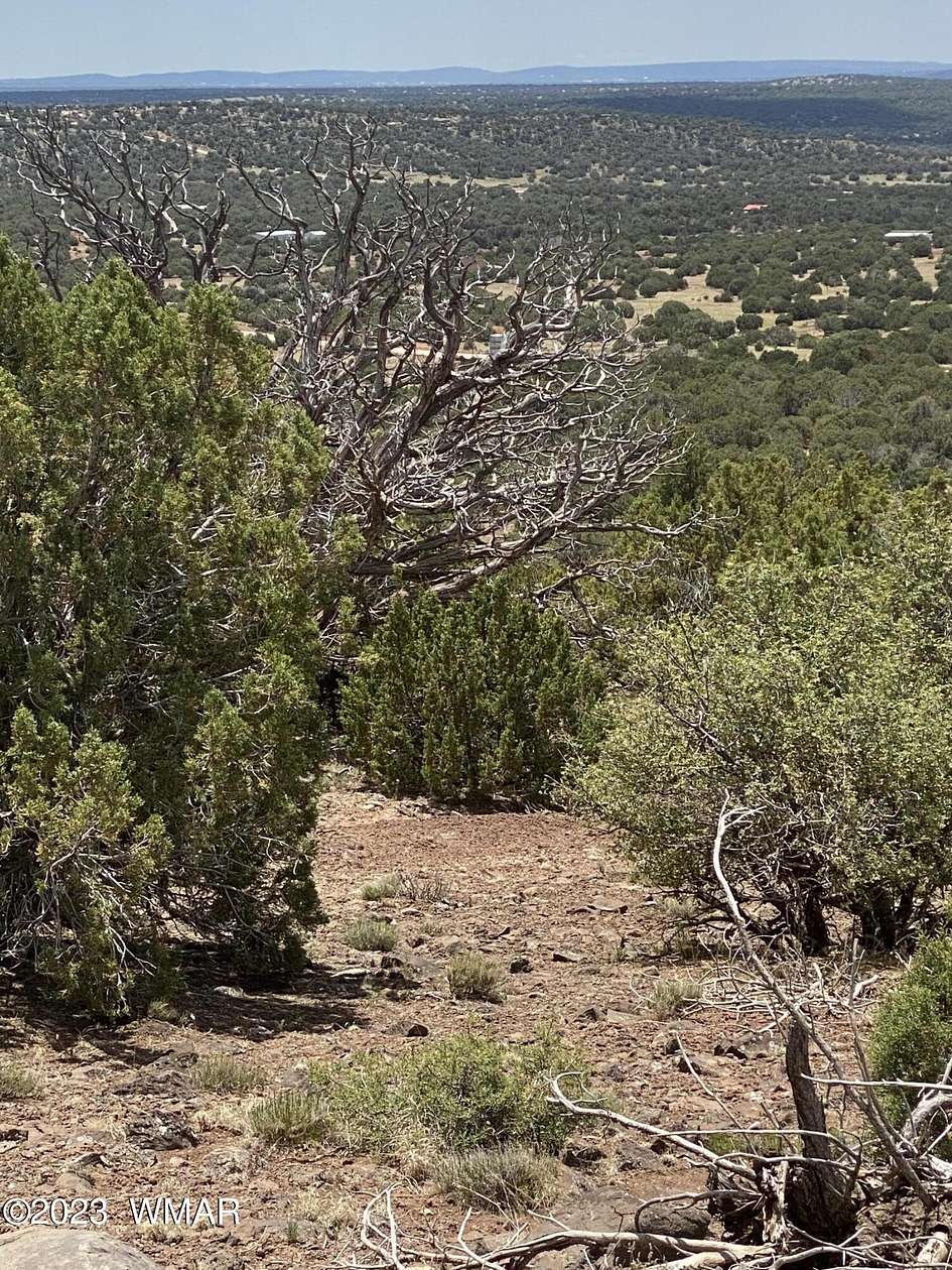 1.17 Acres of Residential Land for Sale in Concho, Arizona