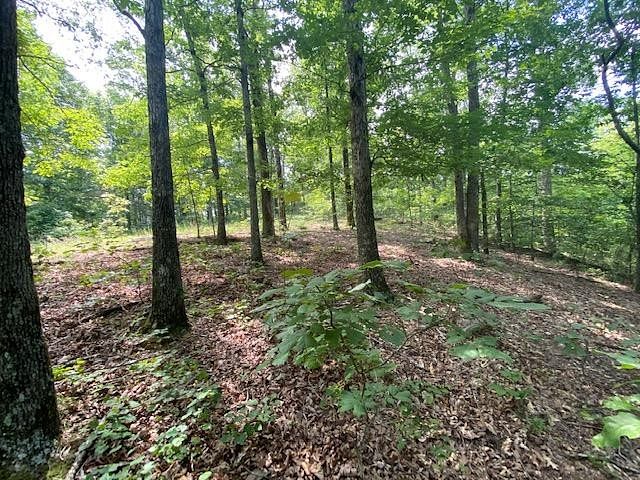 2.08 Acres of Residential Land for Sale in Big Sandy, Tennessee