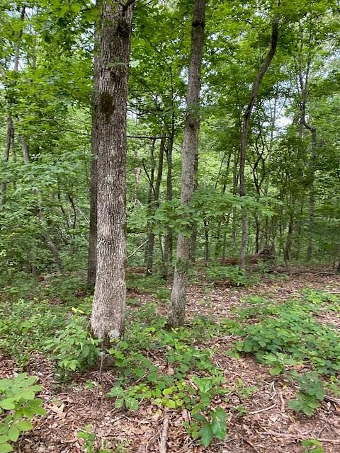 2.1 Acres of Residential Land for Sale in Big Sandy, Tennessee