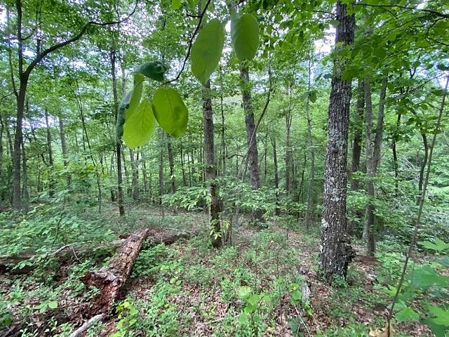 1.31 Acres of Residential Land for Sale in Big Sandy, Tennessee