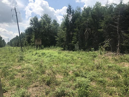 245 Acres of Recreational Land for Sale in Eutaw, Alabama