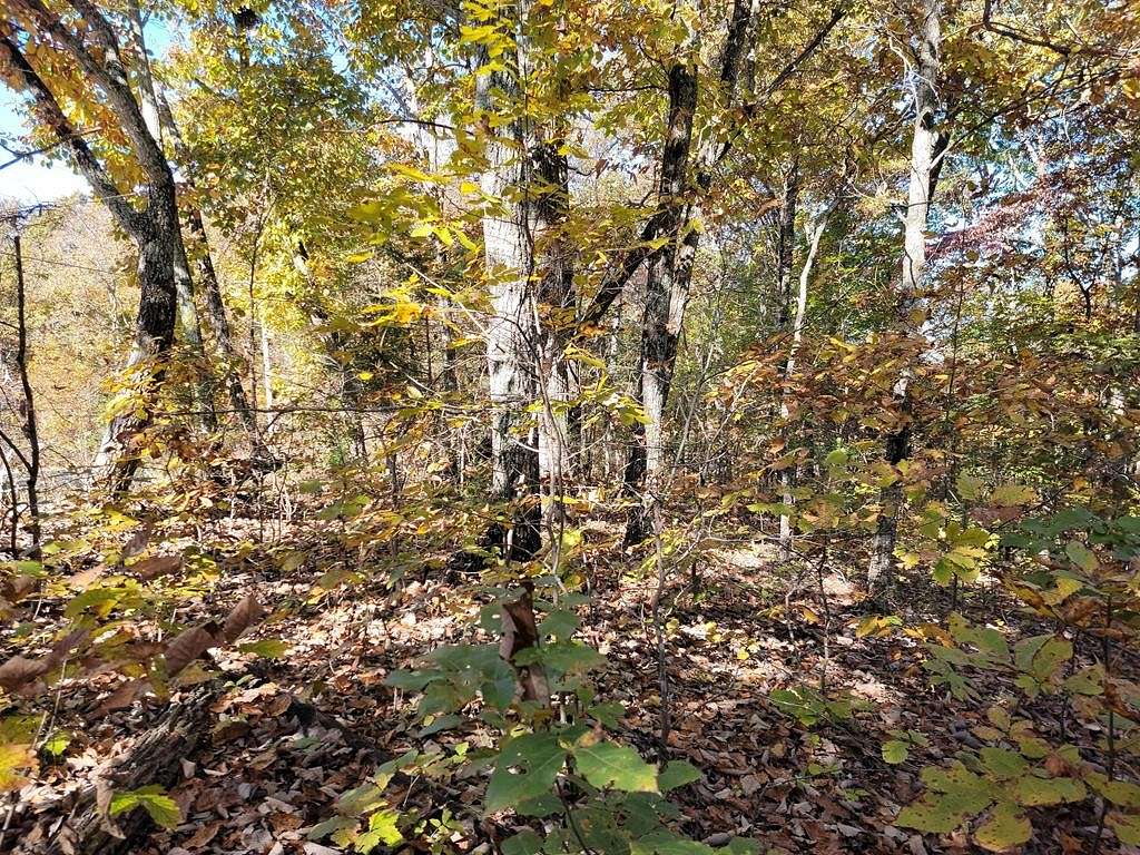 0.44 Acres of Residential Land for Sale in Holladay, Tennessee