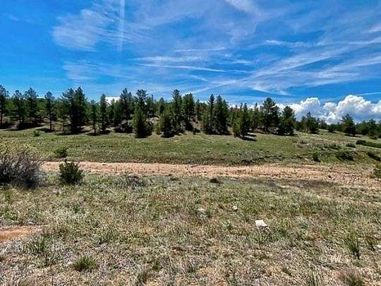 6.5 Acres of Residential Land for Sale in Cotopaxi, Colorado