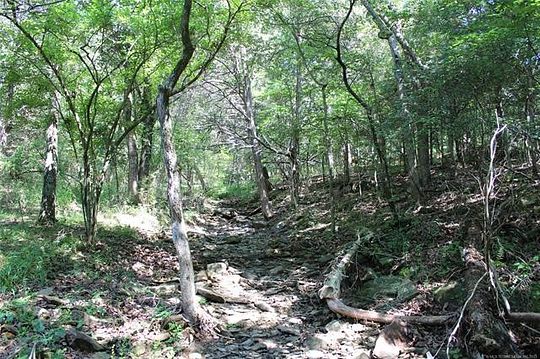 0.26 Acres of Residential Land for Sale in Park Hill, Oklahoma