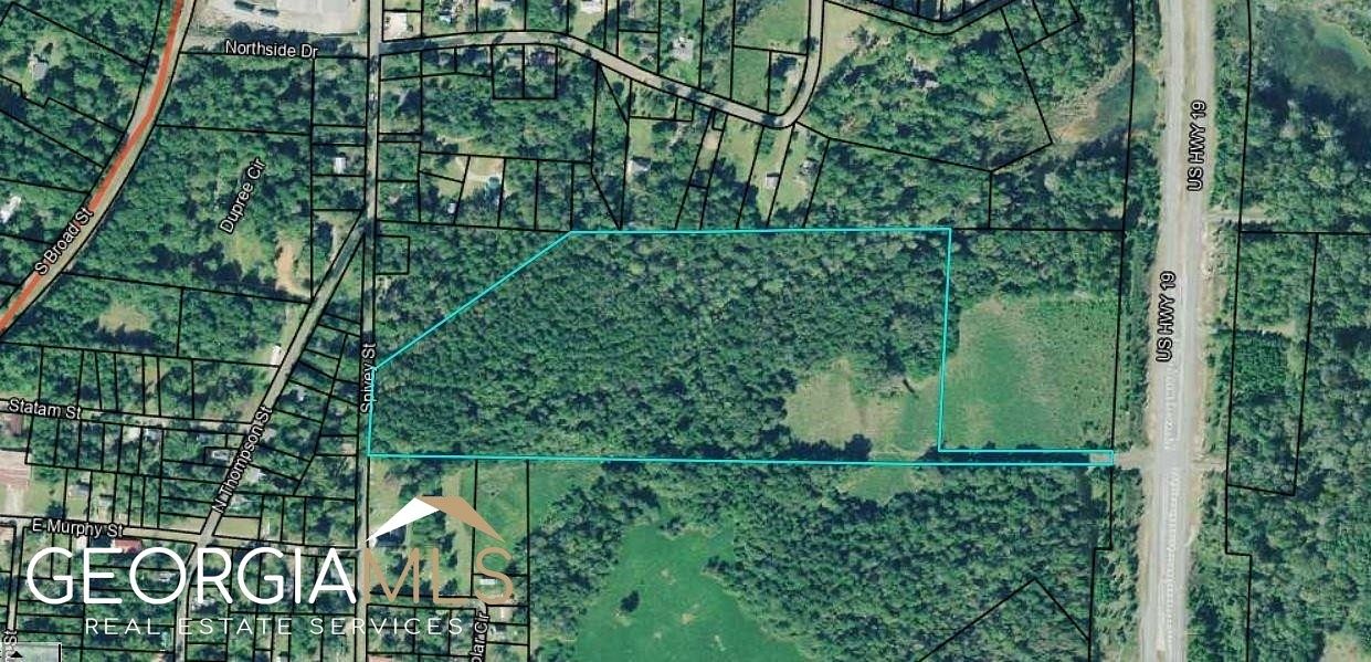 24.9 Acres of Land for Sale in Ellaville, Georgia