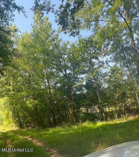9 Acres of Residential Land with Home for Sale in Pinola, Mississippi