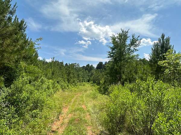 40 Acres of Land for Sale in Taylor, Arkansas