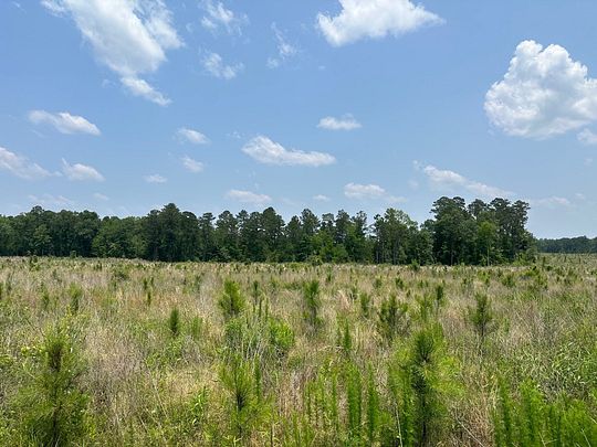 139 Acres of Land for Sale in Emerson, Arkansas