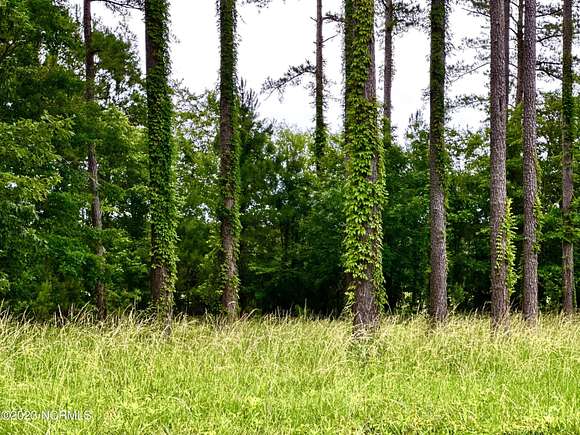 1.09 Acres of Residential Land for Sale in Oriental, North Carolina