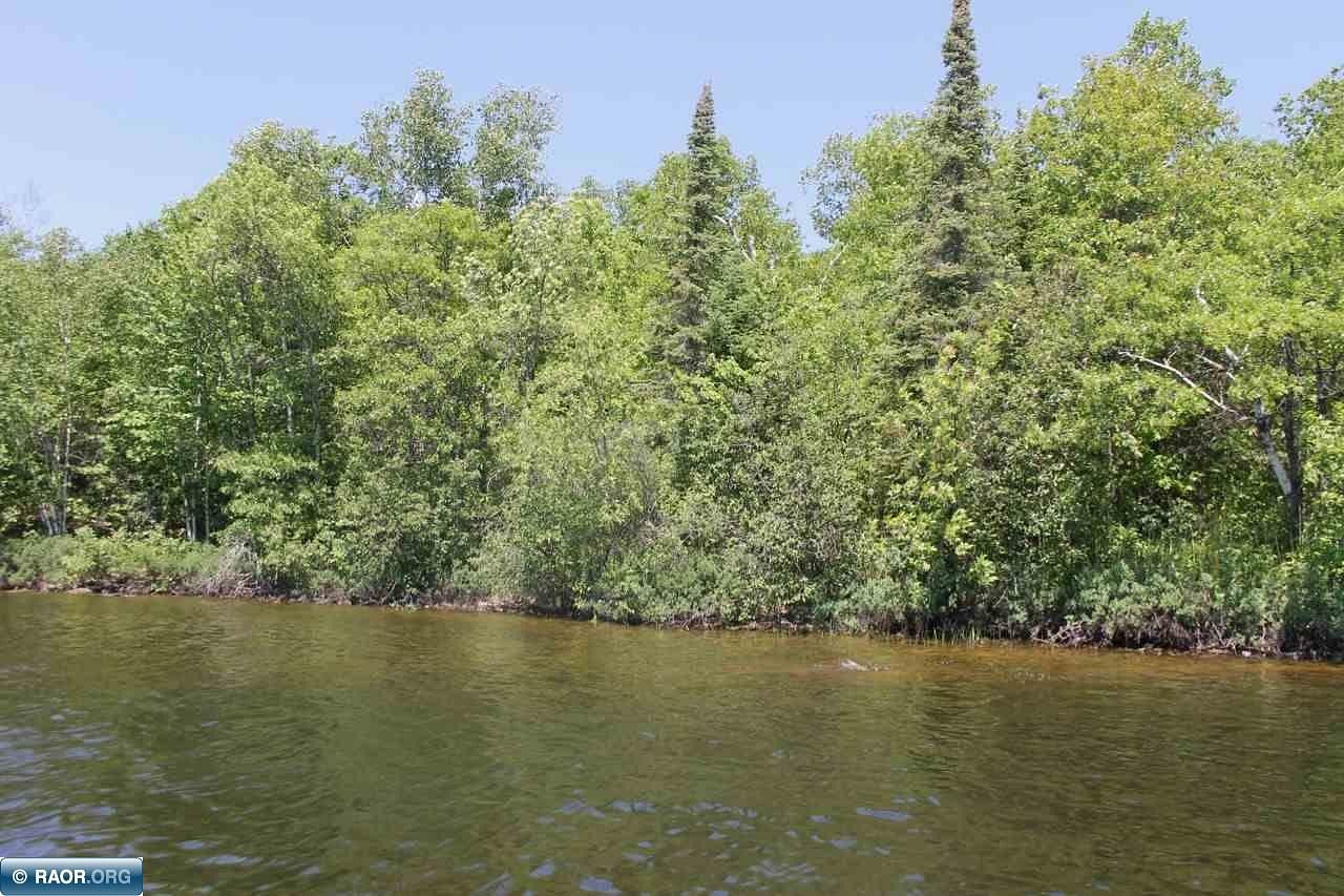 4.3 Acres of Land for Sale in Cook, Minnesota