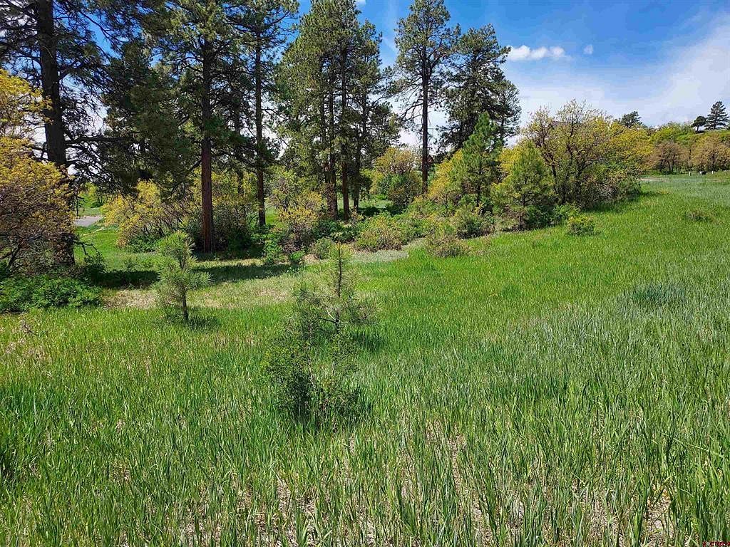 0.84 Acres of Residential Land for Sale in Pagosa Springs, Colorado