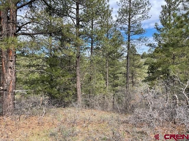 9.3 Acres of Residential Land for Sale in Pagosa Springs, Colorado