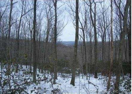 57.41 Acres of Land for Sale in Haddam, Connecticut