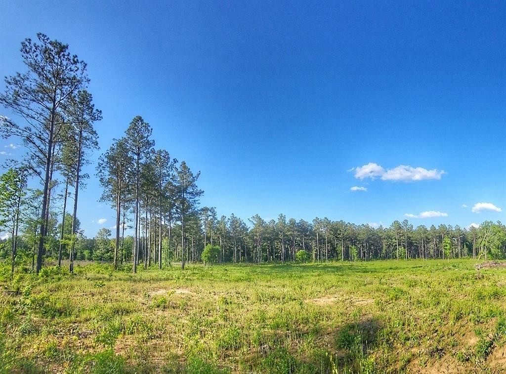 5 Acres of Residential Land for Sale in Frierson, Louisiana