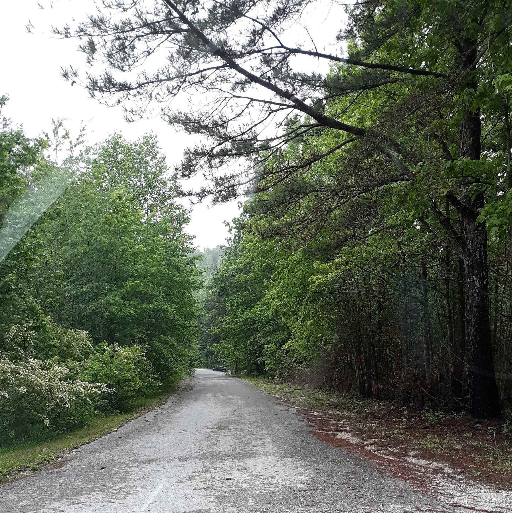 2.4 Acres of Residential Land for Sale in Phil Campbell, Alabama