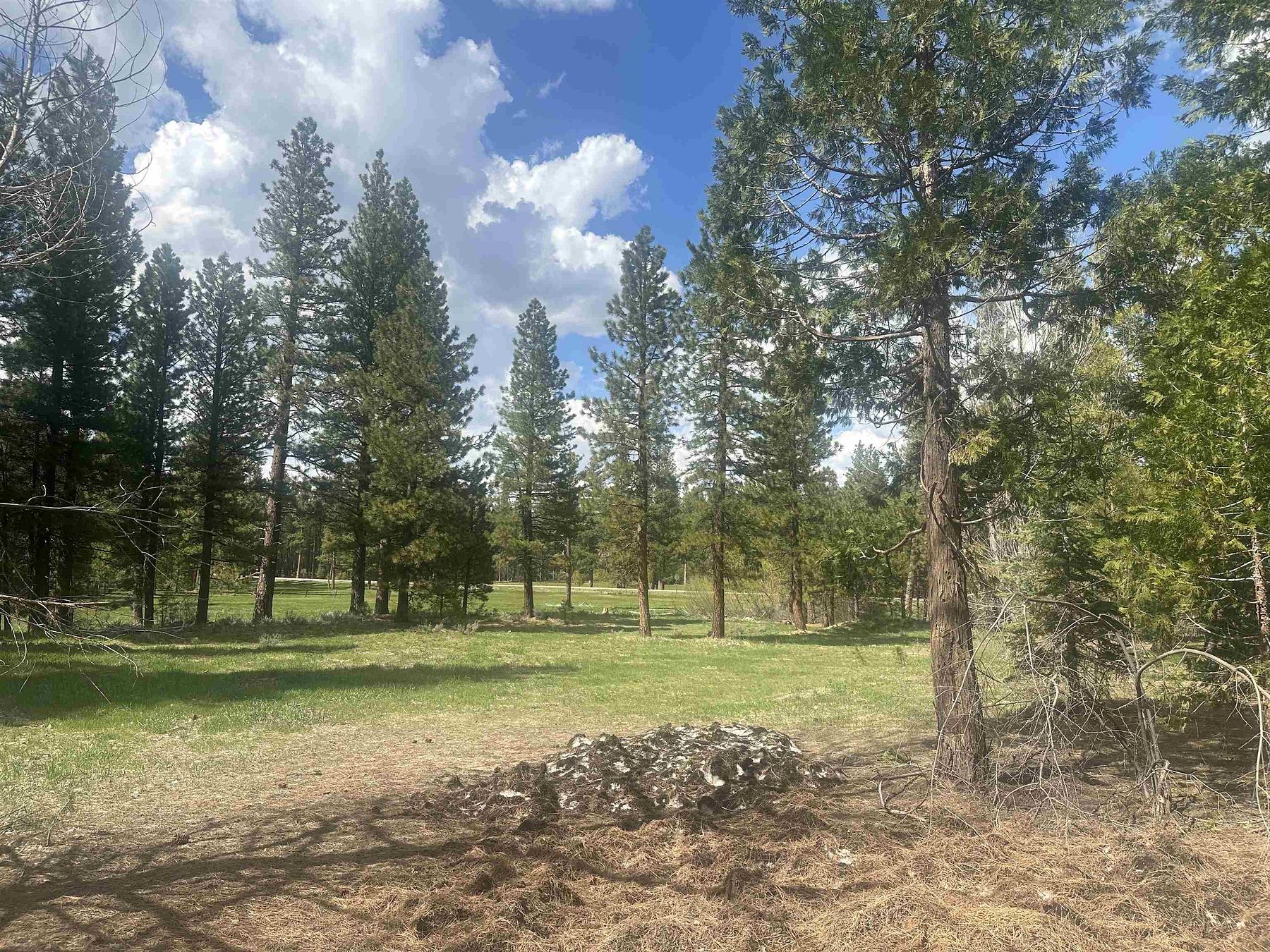 1.4 Acres of Residential Land for Sale in Calpine, California