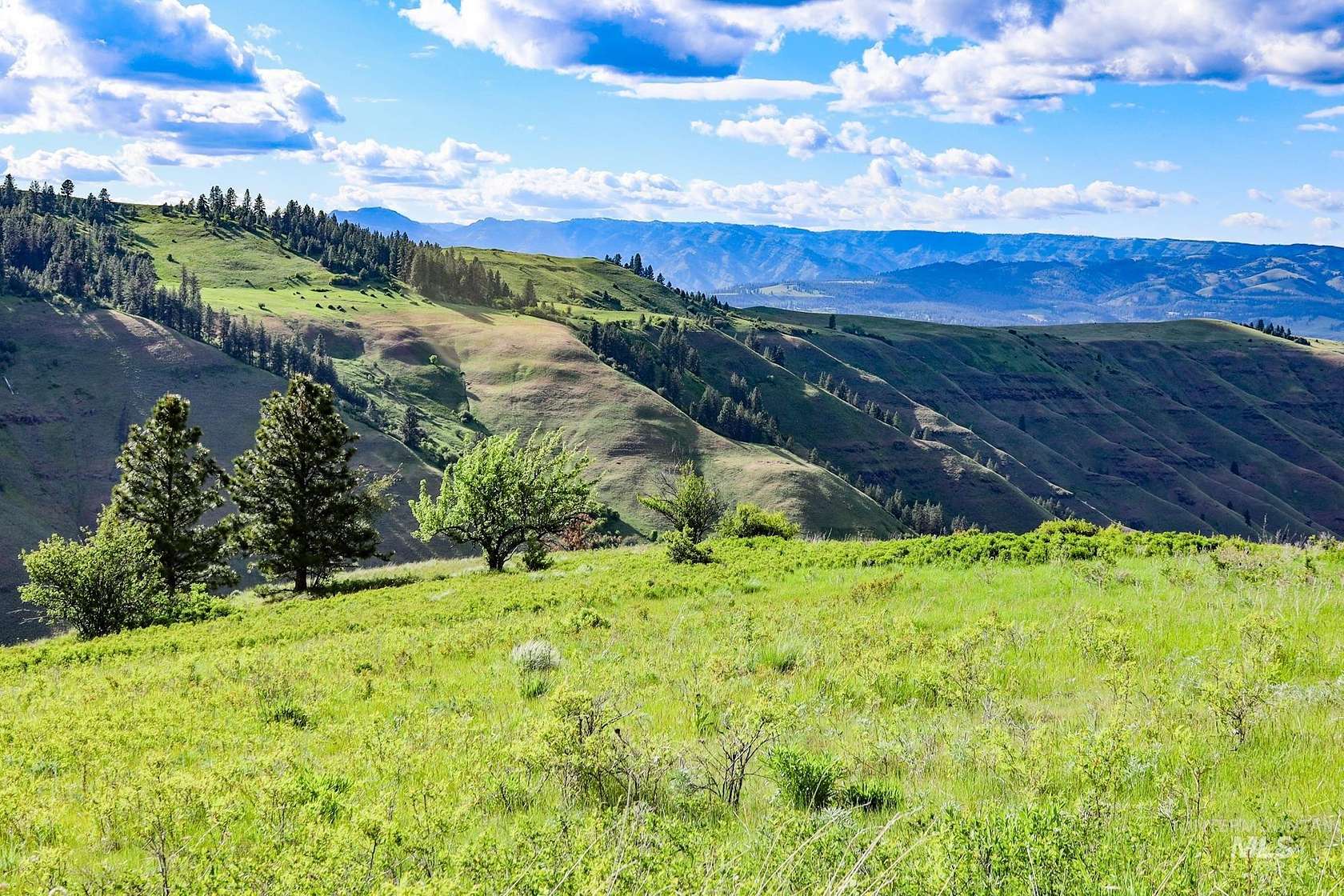 525 Acres of Land for Sale in Enterprise, Oregon