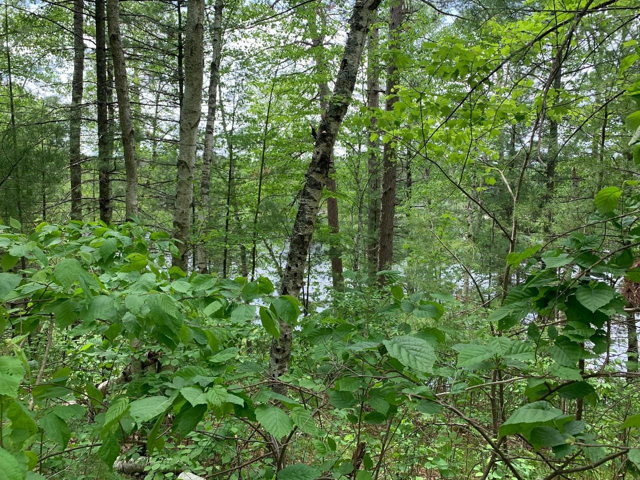 2.3 Acres of Land for Sale in Tomahawk, Wisconsin