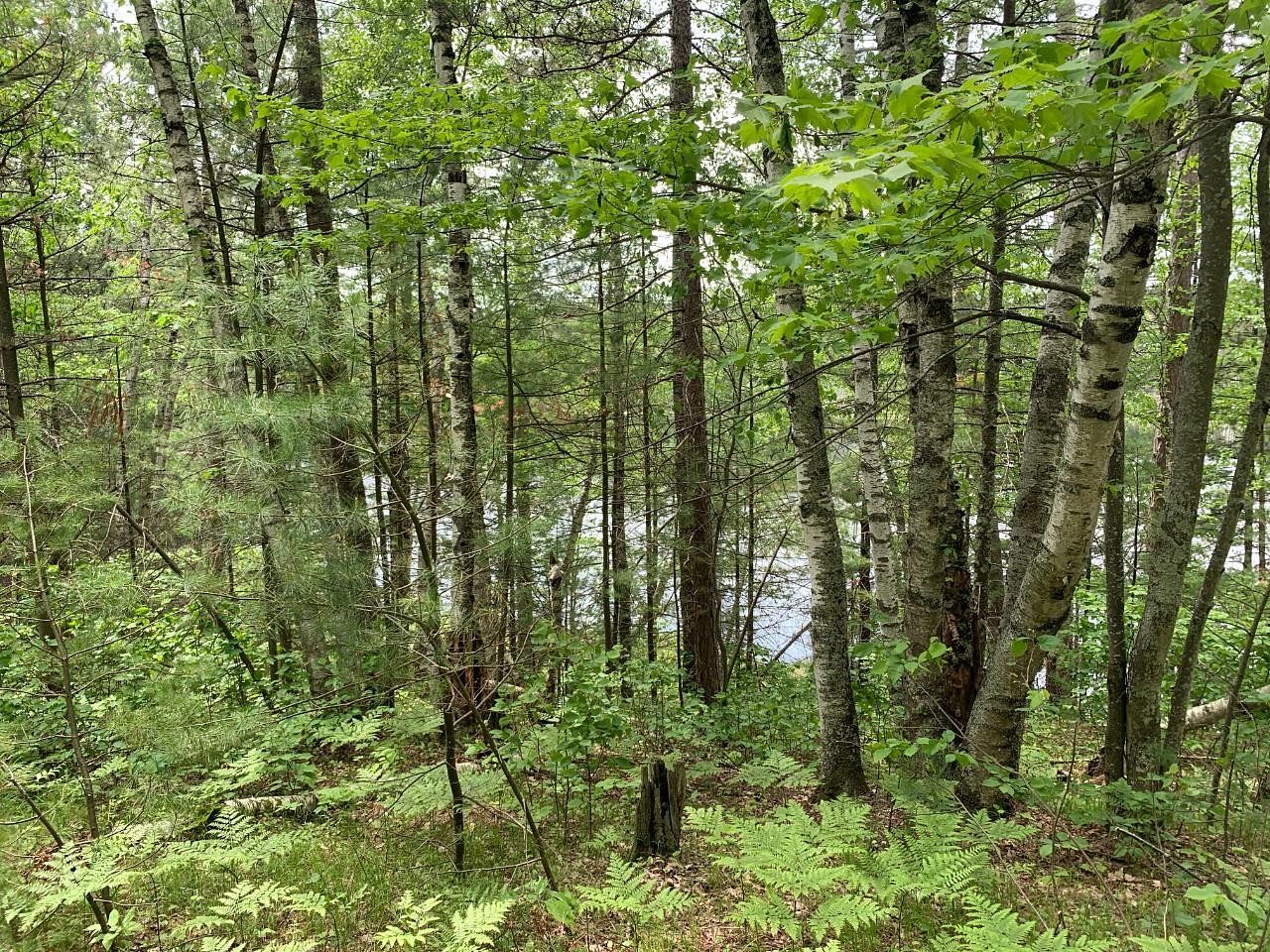 1.6 Acres of Land for Sale in Tomahawk, Wisconsin