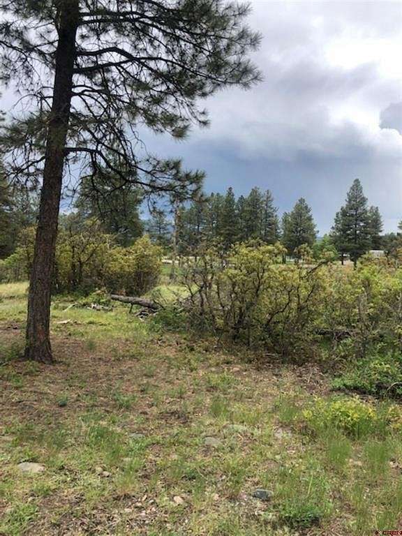 1 Acres of Residential Land for Sale in Pagosa Springs, Colorado