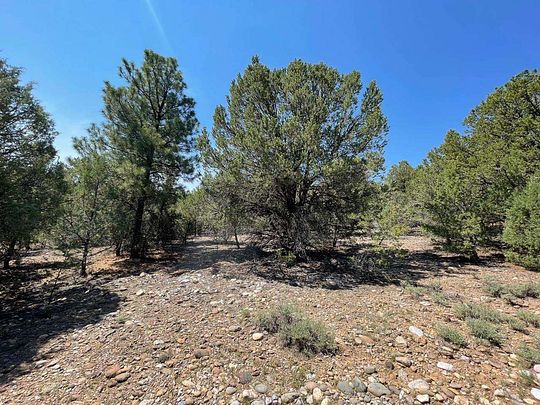 0.6 Acres of Residential Land for Sale in Tierra Amarilla, New Mexico