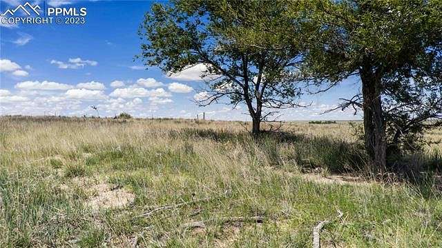 80 Acres of Agricultural Land for Sale in Rush, Colorado