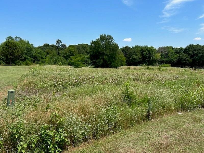 5.4 Acres of Residential Land for Sale in Whitesboro, Texas