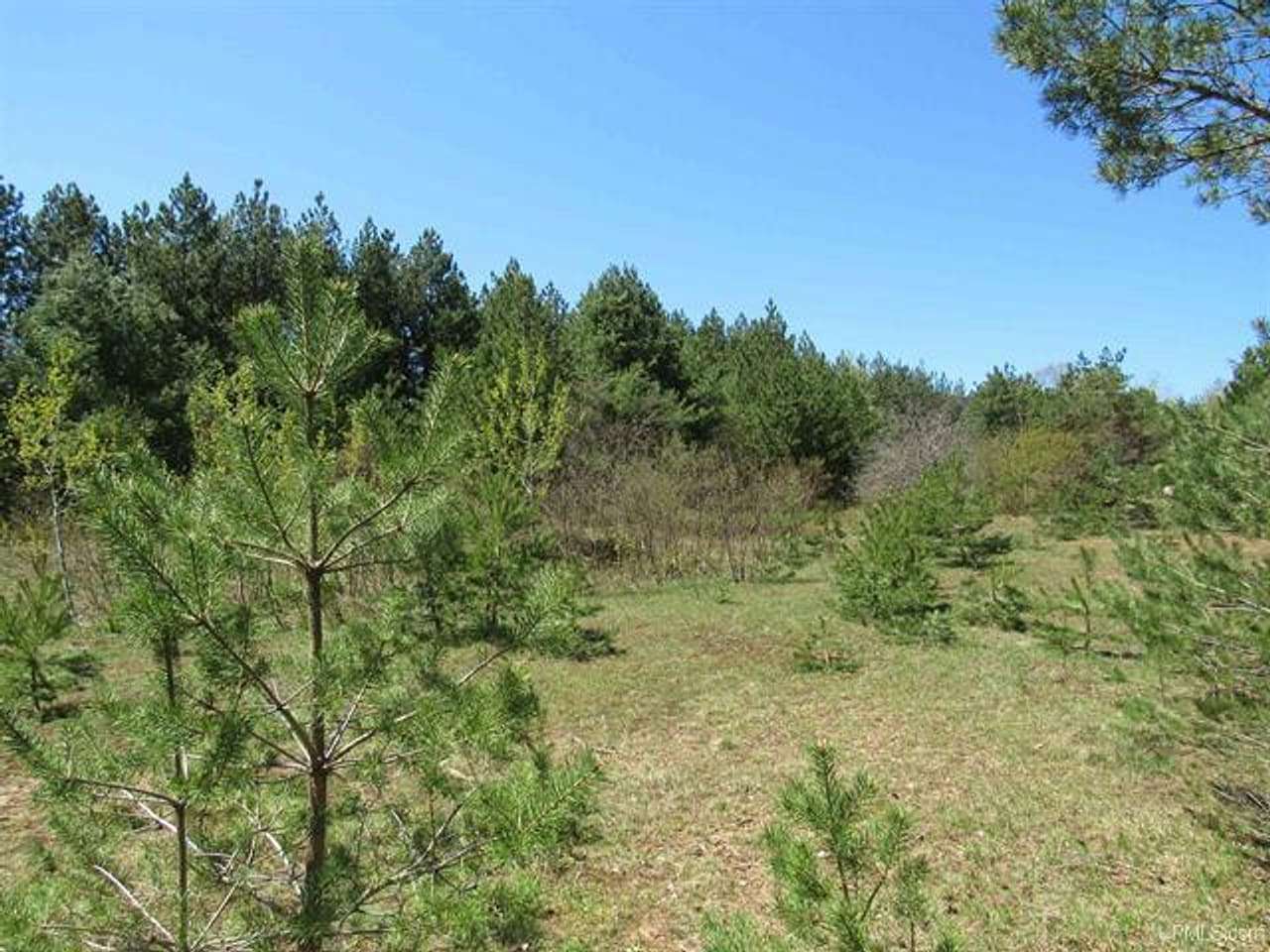 40 Acres of Recreational Land for Sale in Mohawk, Michigan