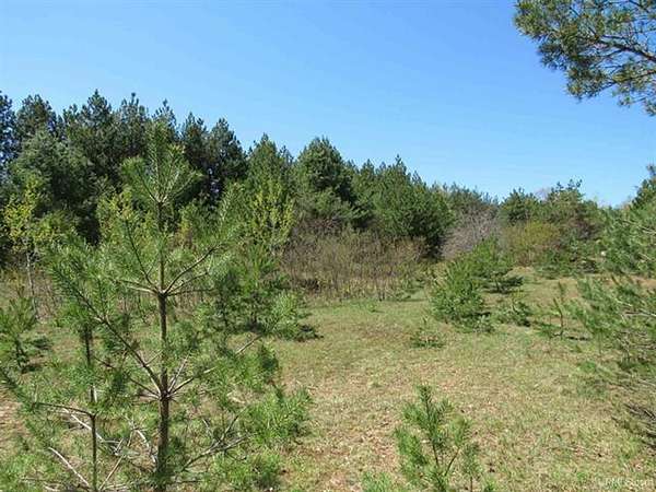 40 Acres of Recreational Land for Sale in Mohawk, Michigan