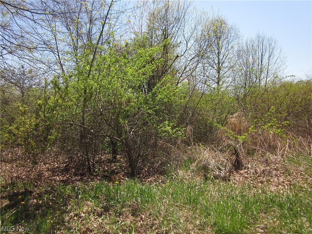 15 Acres of Land for Sale in Atwater, Ohio