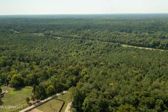 39 Acres of Land for Sale in Byhalia, Mississippi