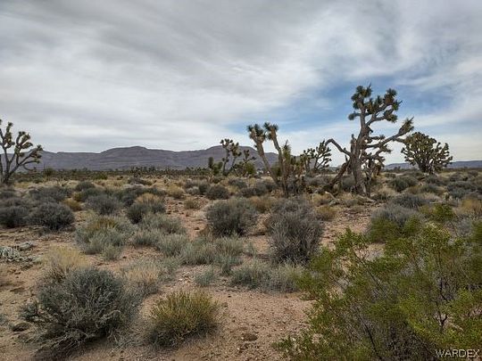 1.3 Acres of Land for Sale in Meadview, Arizona