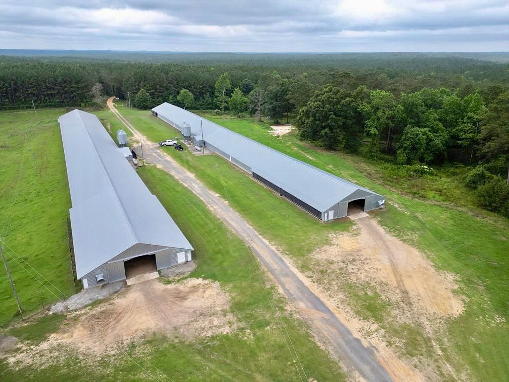 20 Acres of Recreational Land & Farm for Sale in State Line, Mississippi