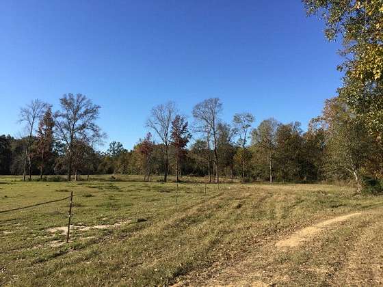 82 Acres of Recreational Land & Farm for Sale in Centreville, Mississippi