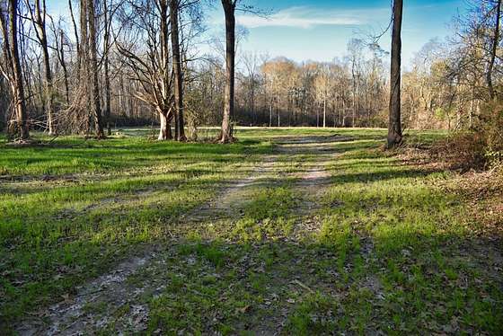 13.8 Acres of Land for Sale in St. Francisville, Louisiana