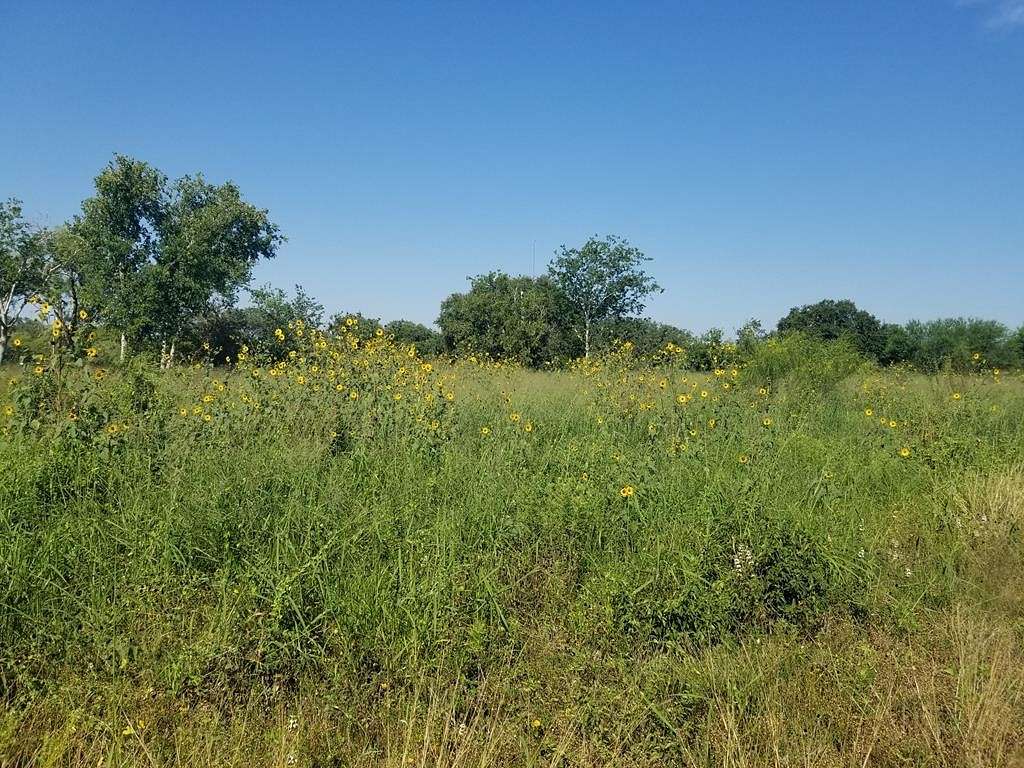 3.9 Acres of Commercial Land for Sale in Beeville, Texas