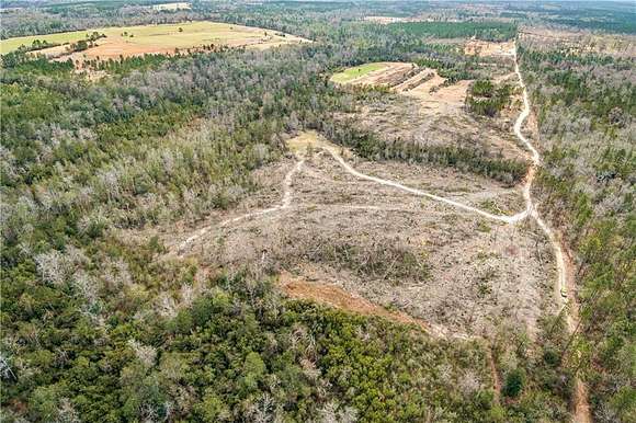 101 Acres of Recreational Land for Sale in Chunchula, Alabama